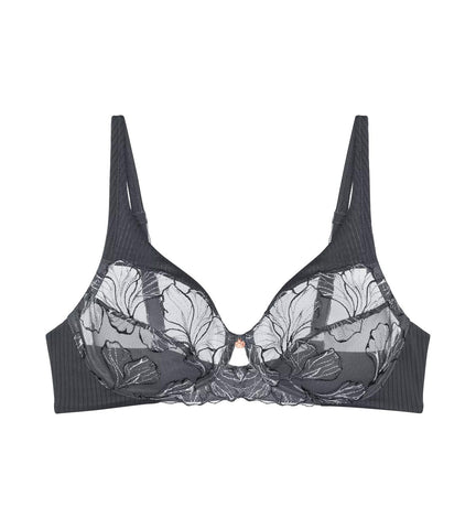 Wild Iris Florale in Anta | Triumph